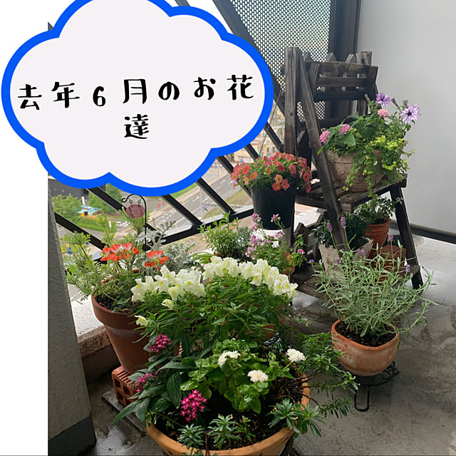JUNさんの実例写真