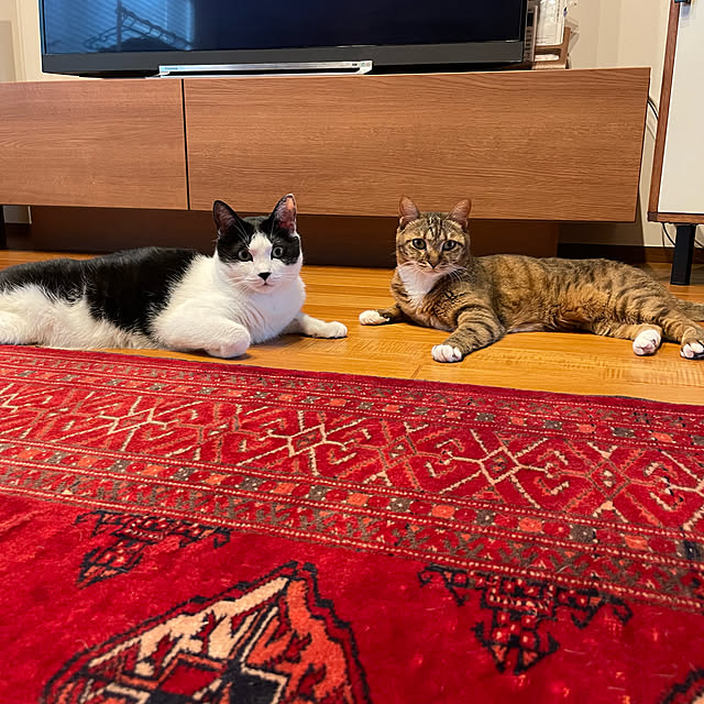 maruさんの実例写真