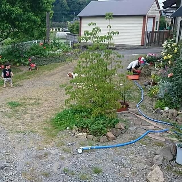 pepeさんの実例写真
