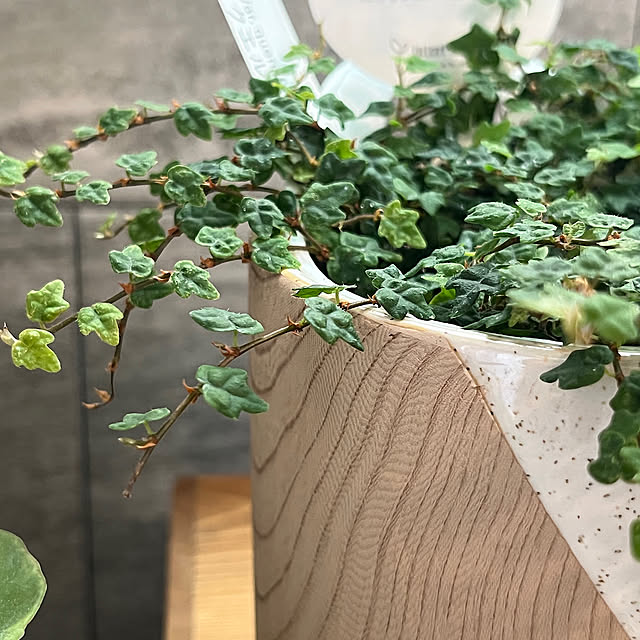 cotoriさんの部屋