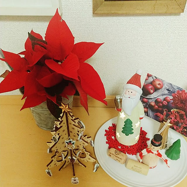 Takakoさんの実例写真
