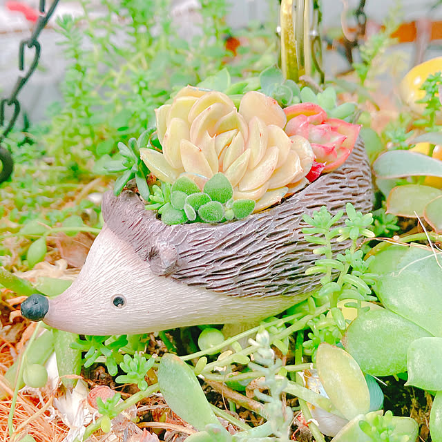 Hanakaさんの実例写真