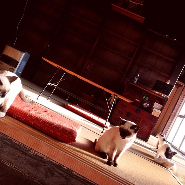 willsoldhouseさんの実例写真