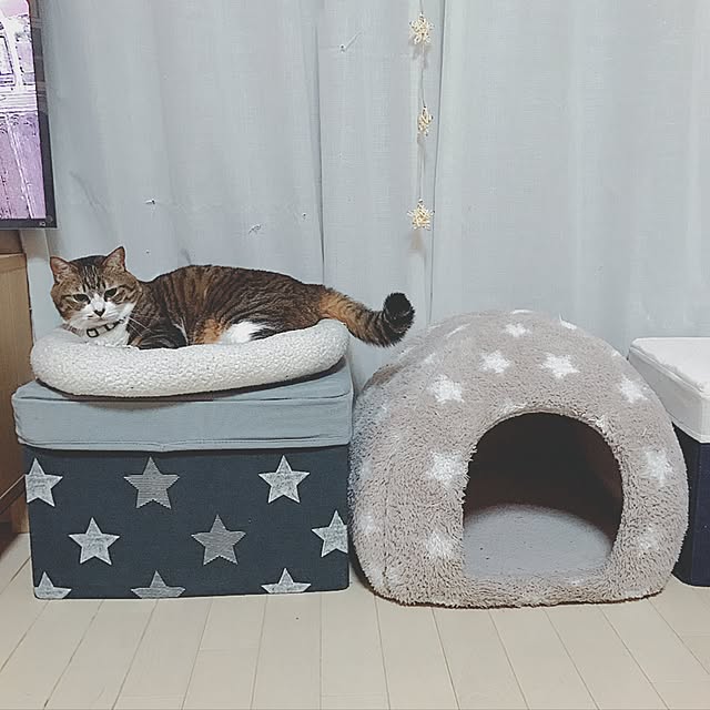 miiさんの実例写真