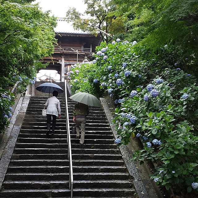 実例写真