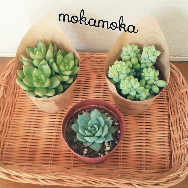 mokamokaさんの実例写真