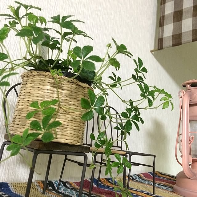 afroさんの実例写真