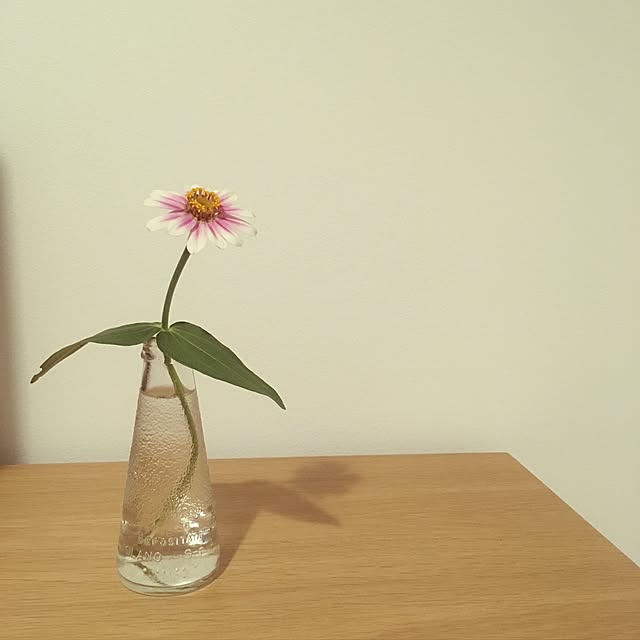 mayuさんの実例写真