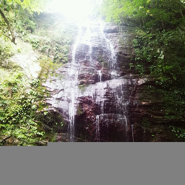 RIN5さんの実例写真