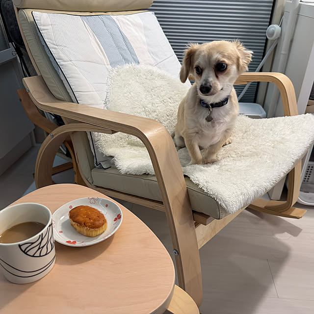 Rainyさんの部屋