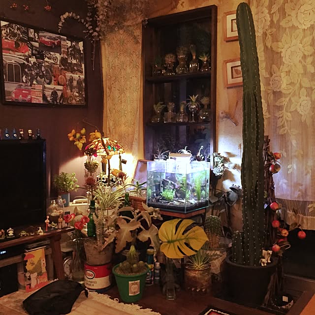 Masahideさんの実例写真