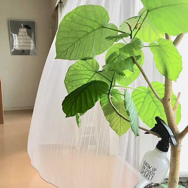 krkrさんの実例写真