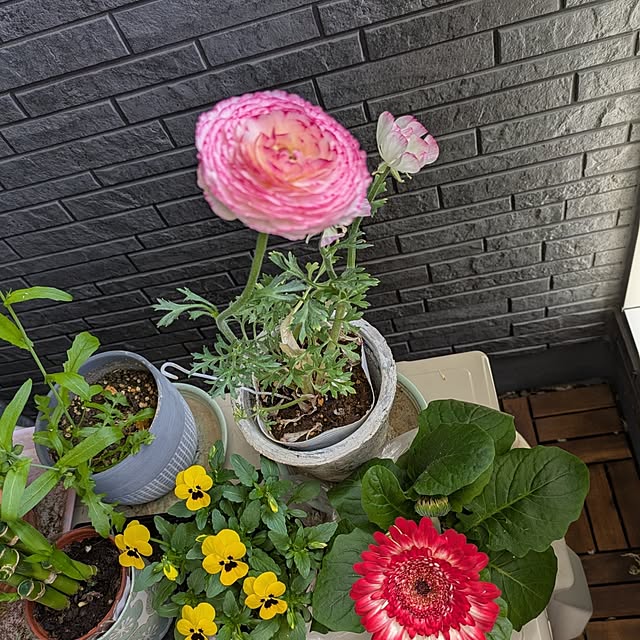 minnieさんの部屋