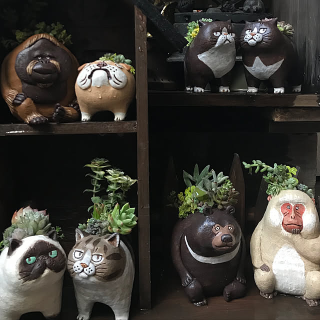 butachanさんの実例写真