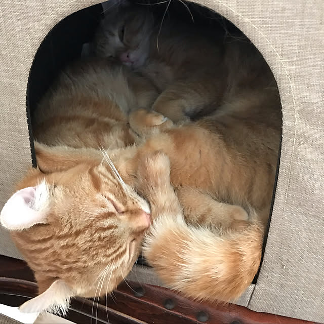 kouheiさんの実例写真