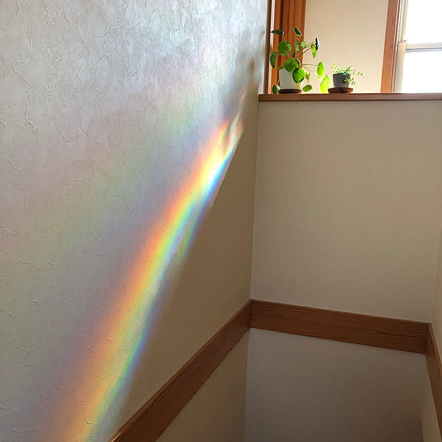 yukkoさんの実例写真