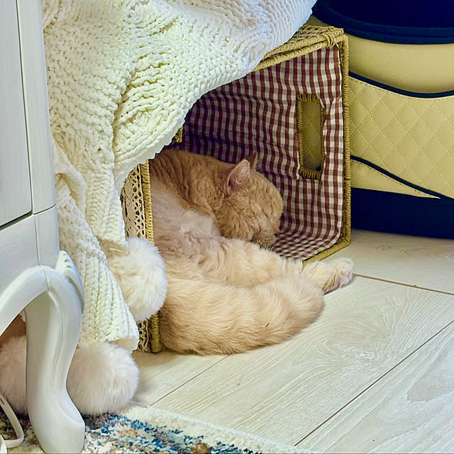 naokoさんの部屋