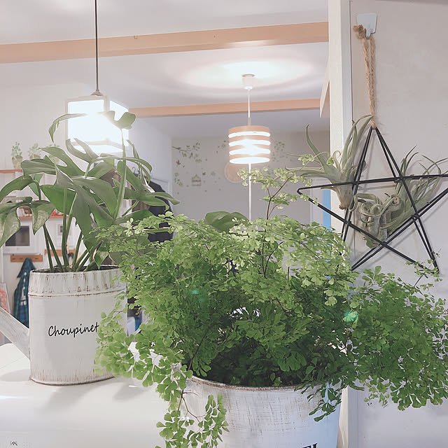 100均/雑貨/観葉植物/北欧/ガーデニング...などのインテリア実例 - 2020-09-20 14:54:05
