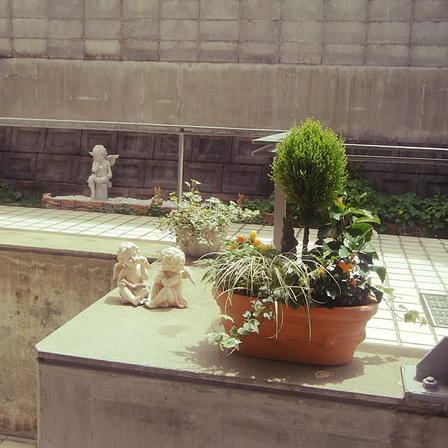 cherryMonroeさんの実例写真