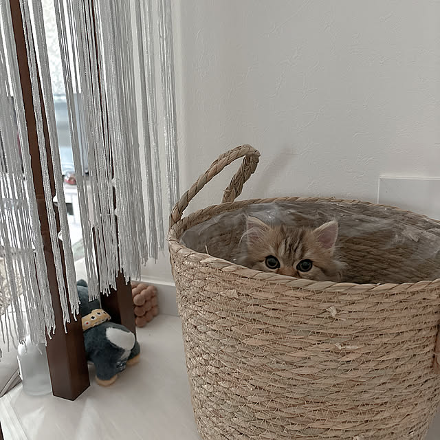 miyu39さんの部屋