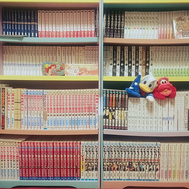 実例写真