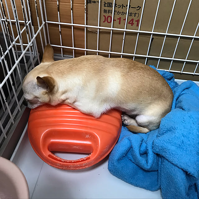 nacchintunnさんの実例写真