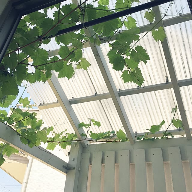 087さんの実例写真