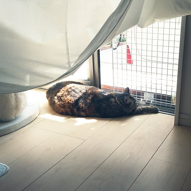 Yukoさんの実例写真