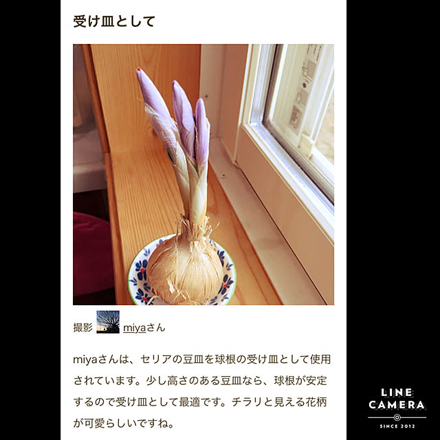 miyaさんの実例写真