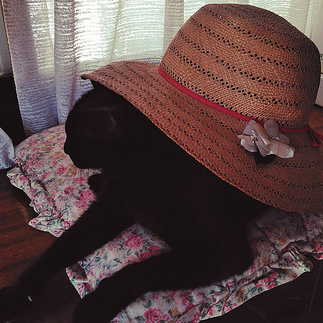 hiroさんの実例写真