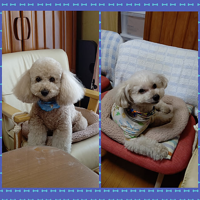 yumirinさんの実例写真