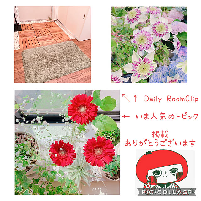 Llatte-usaさんの実例写真