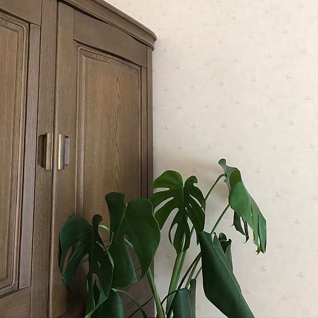 waraihiroさんの実例写真