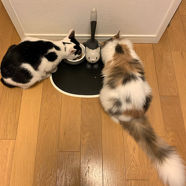 keIgoさんの実例写真