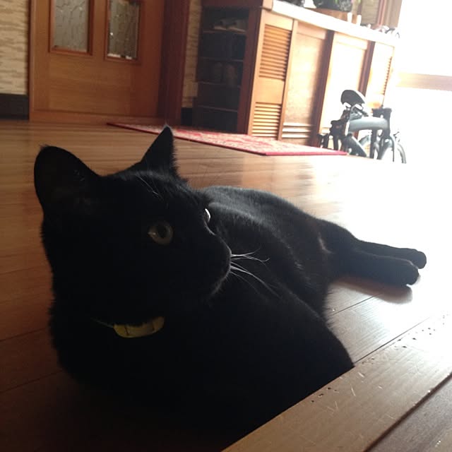 Gooさんの実例写真