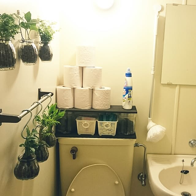 springcanolaさんの実例写真