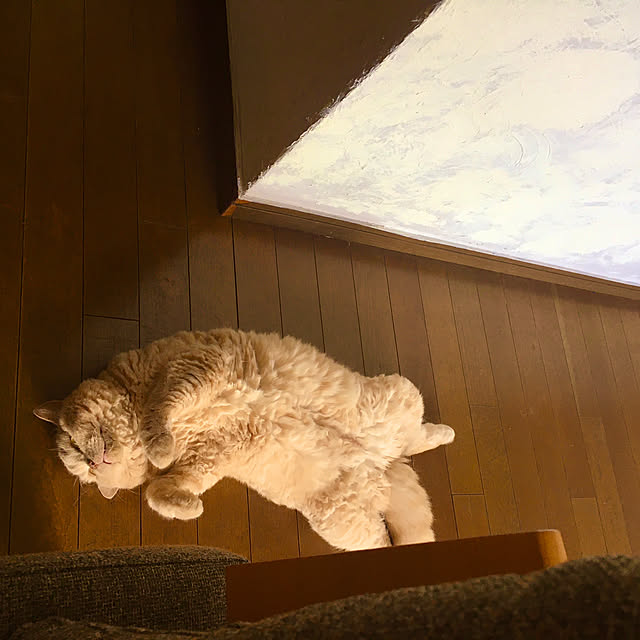naokoさんの部屋