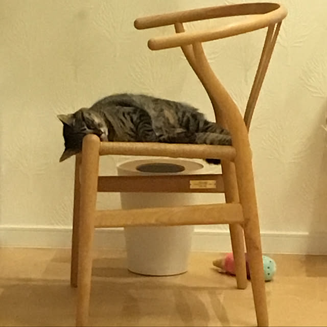 sayanyanさんの実例写真