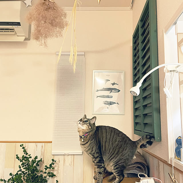 t-famさんの実例写真