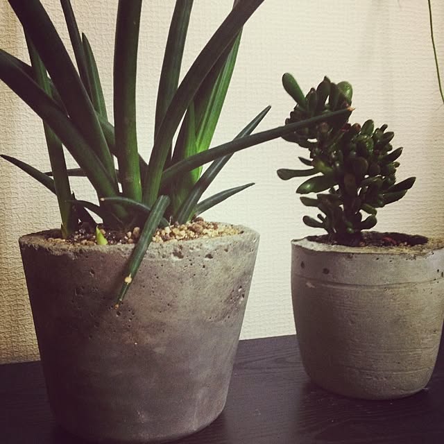 steve-steigmanさんの実例写真