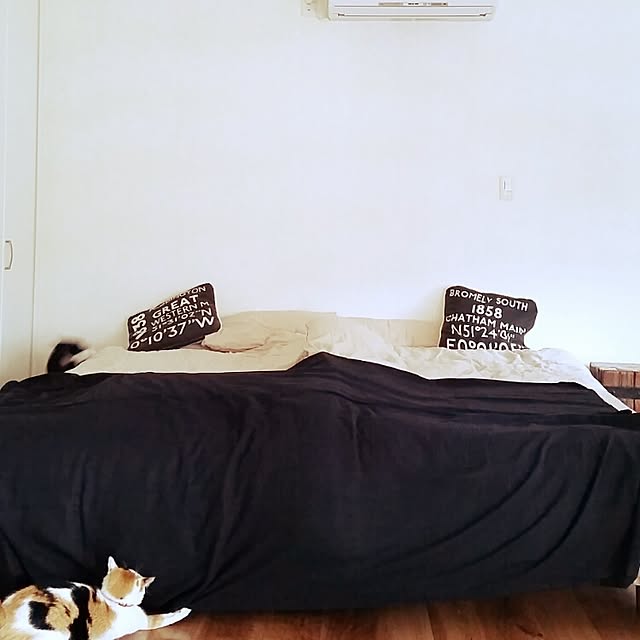 nekogurumaさんの実例写真