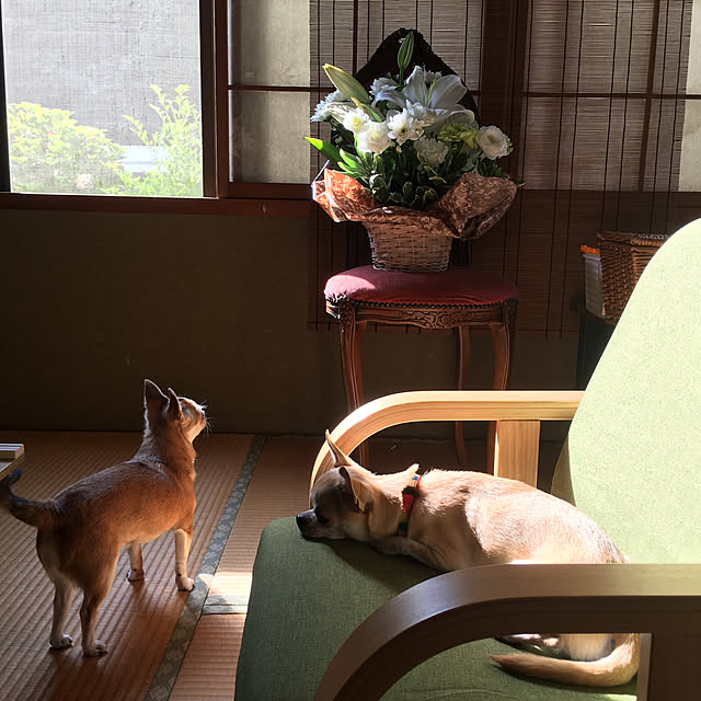 Hanagoboさんの実例写真