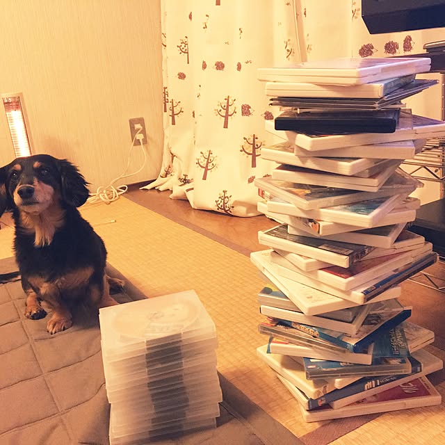 ohanaさんの実例写真