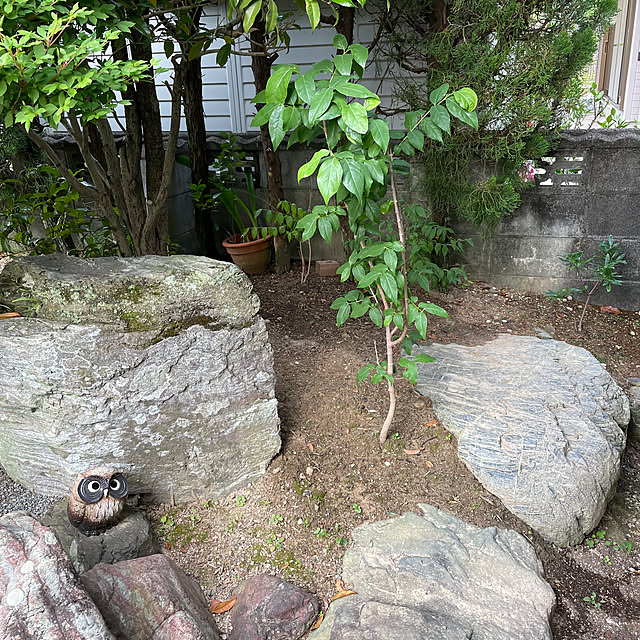 shin0719さんの実例写真