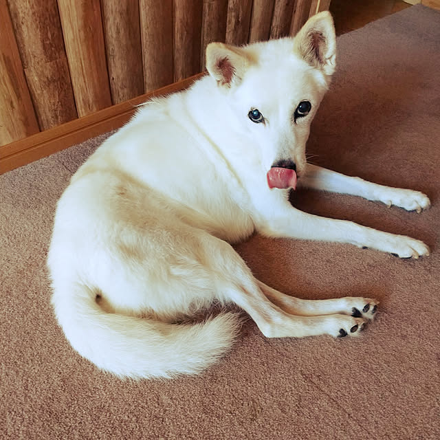 ponhanaさんの実例写真