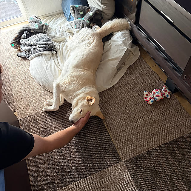 tanboさんの部屋