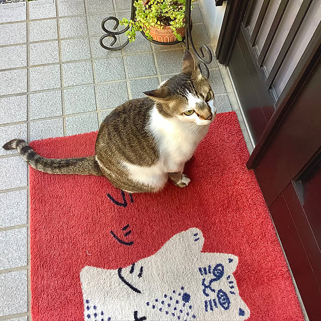 haruminさんの部屋