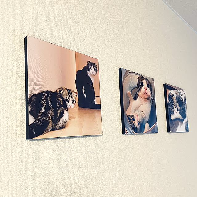 tansukeさんの実例写真