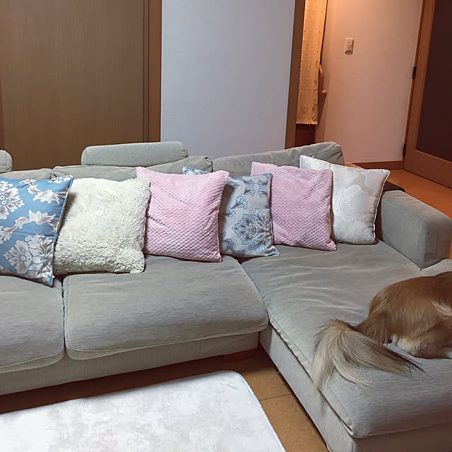 kyoroさんの実例写真