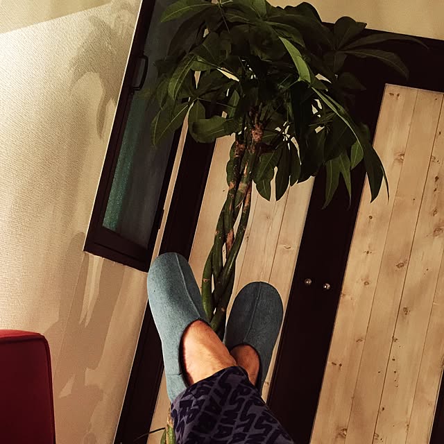 n.y0502さんの実例写真